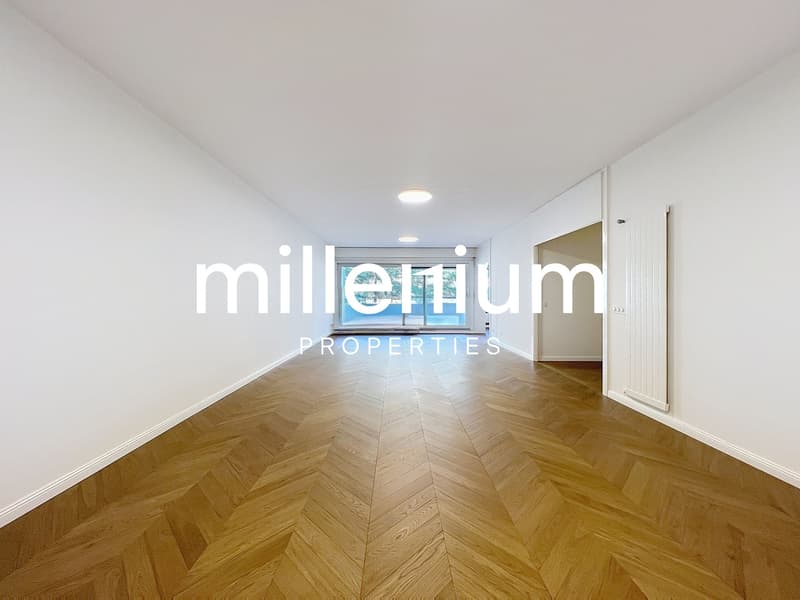 Luxurious apartment near Parc Bertrand, Champel (3)