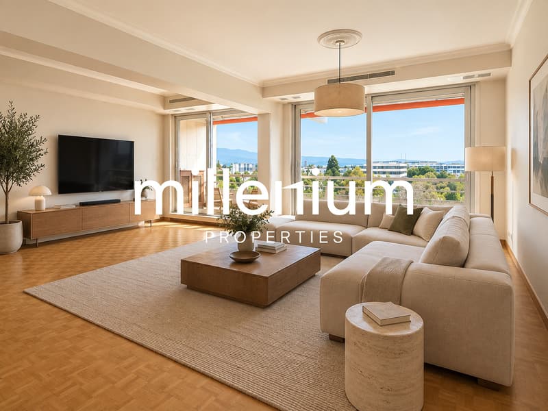 Bel appartement lumineux entièrement rénové (1)