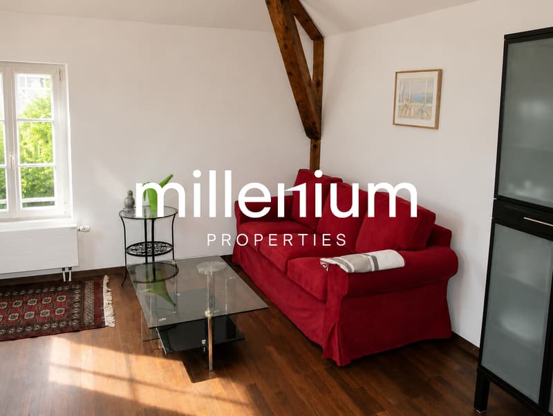 Appartement terrasse meublé de 2 P au Petit Lancy. (11)
