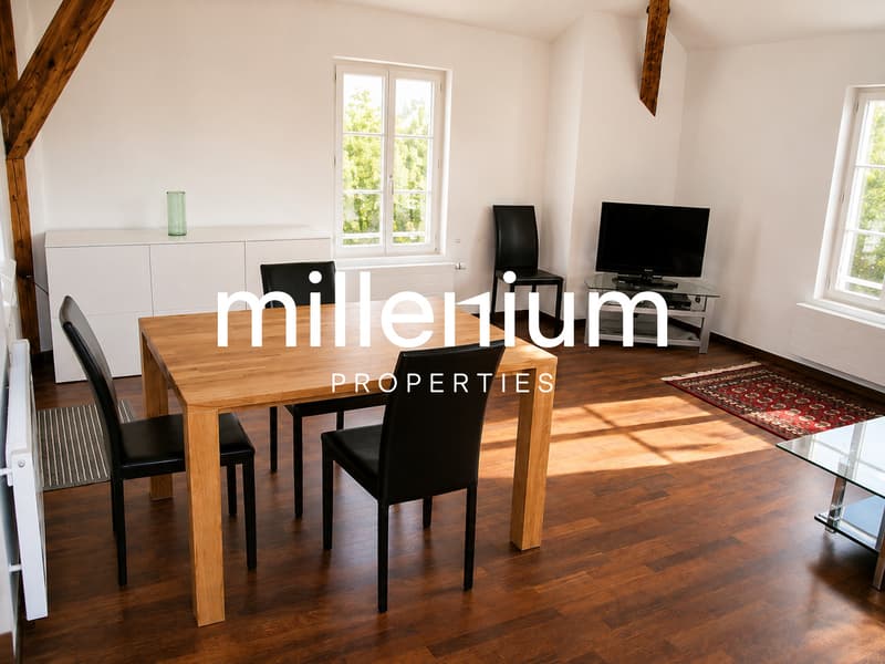 Appartement terrasse meublé de 2 P au Petit Lancy. (9)