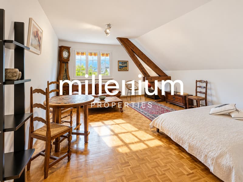 Appartement 2 pièces meublé - Situation privilégiée au coeur de Veyrier (3)
