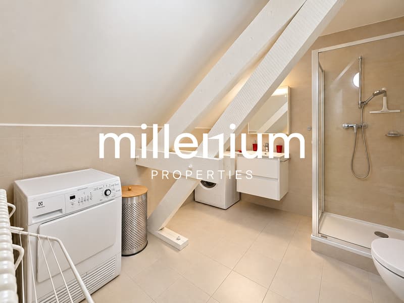 Appartement 2 pièces meublé - Situation privilégiée au coeur de Veyrier (4)