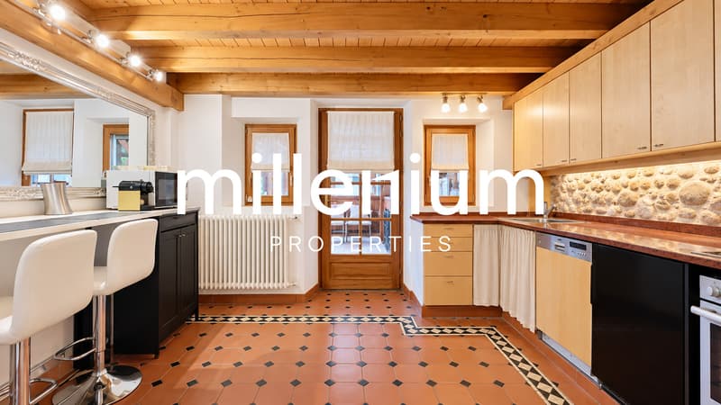Appartement atypique de charme au coeur d'Avusy-Athenaz (3)