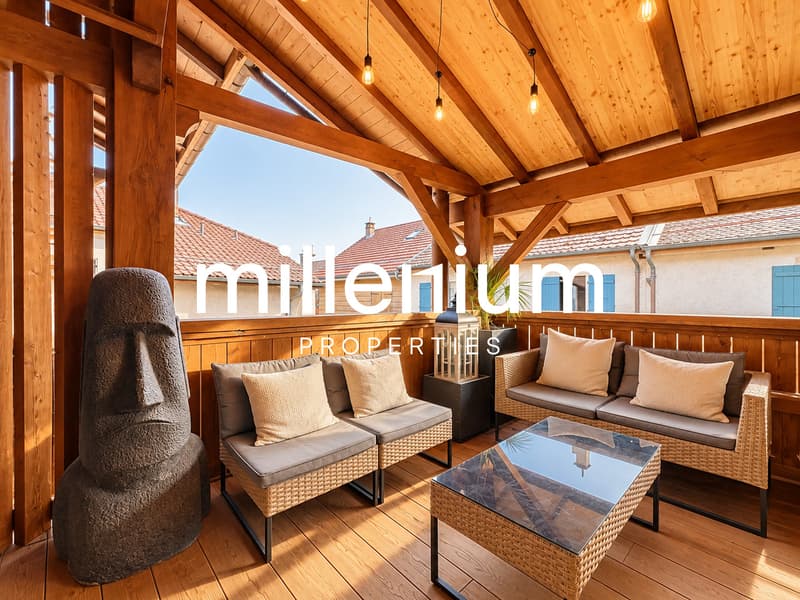Appartement atypique de charme au coeur d'Avusy-Athenaz (2)