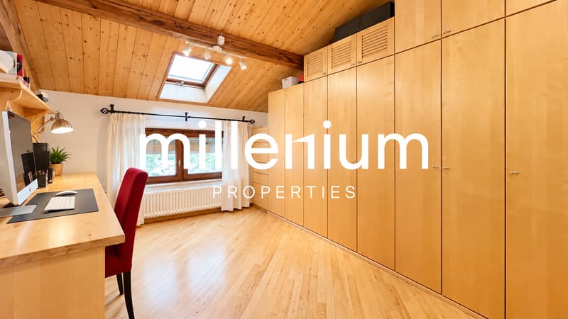 Appartement atypique de charme au coeur d'Avusy-Athenaz (7)