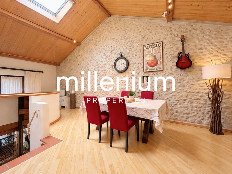 Appartement atypique de charme au coeur d'Avusy-Athenaz (5)