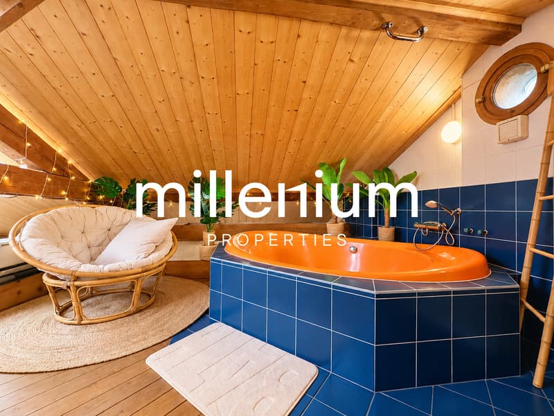 Appartement atypique de charme au coeur d'Avusy-Athenaz (11)