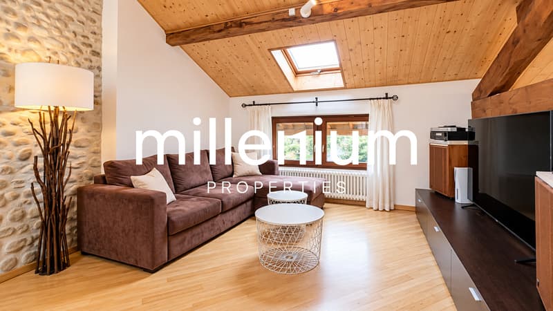 Appartement atypique de charme au coeur d'Avusy-Athenaz (4)