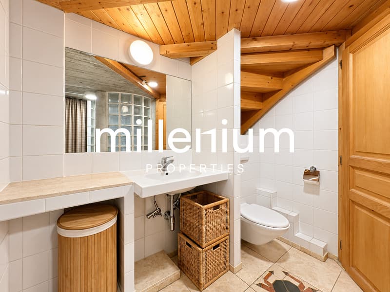 Appartement atypique de charme au coeur d'Avusy-Athenaz (9)