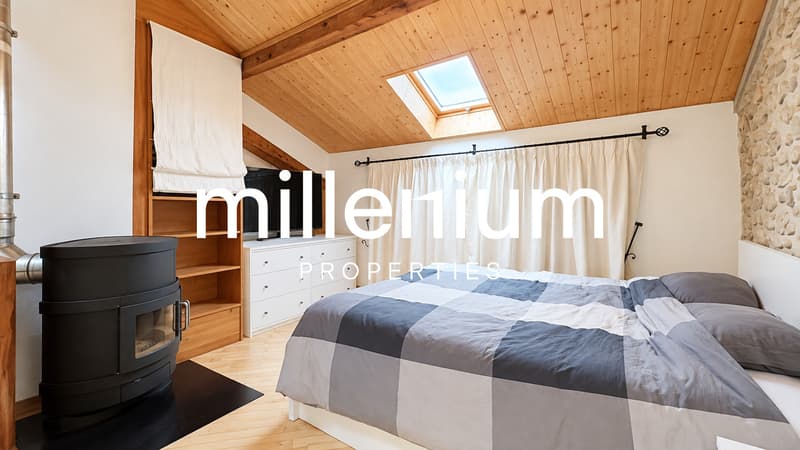 Appartement atypique de charme au coeur d'Avusy-Athenaz (8)
