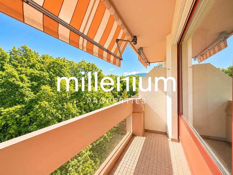 Bel appartement face au Parc des Eaux-Vives (10)