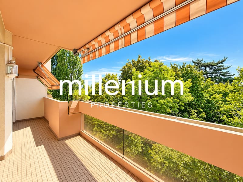 Bel appartement face au Parc des Eaux-Vives (3)