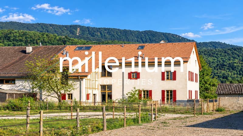 Belle maison familiale entièrement rénovée avec jardin à Jussy (7)