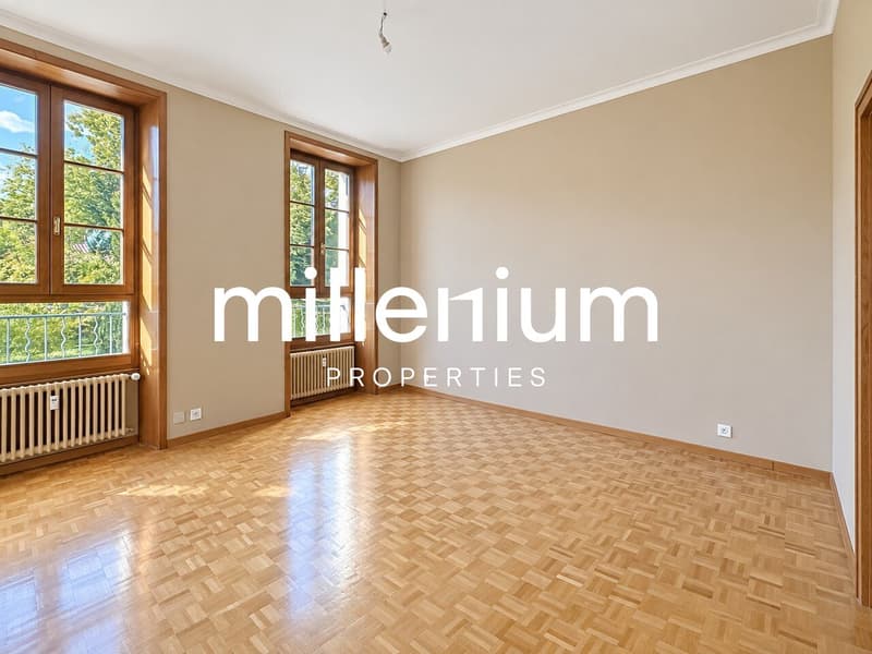 Appartement duplex de charme en rez-de-jardin au Château Barillet --Satigny (5)