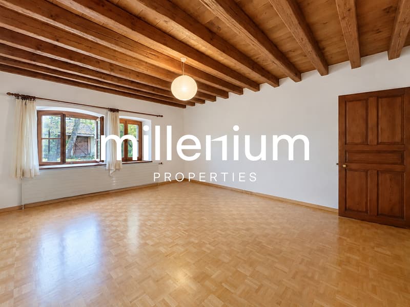 Authentique maison de caractère au coeur de Collex (10)