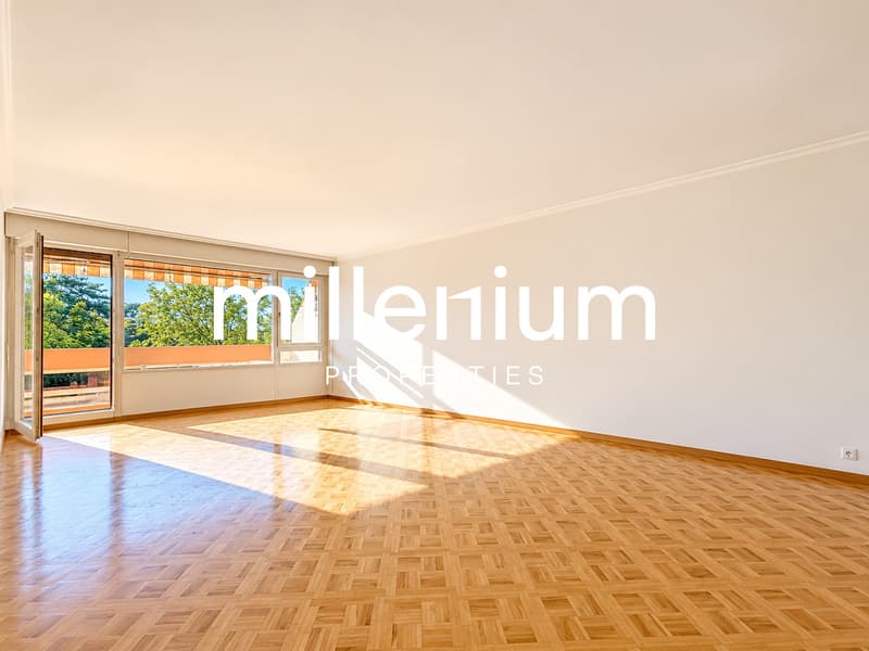 Bel appartement face au Parc des Eaux-Vives (6)