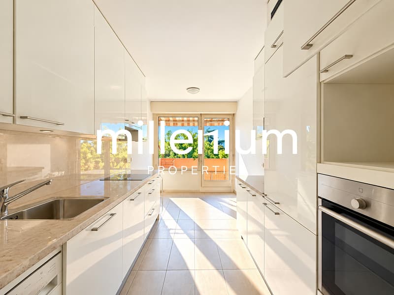 Bel appartement face au Parc des Eaux-Vives (7)