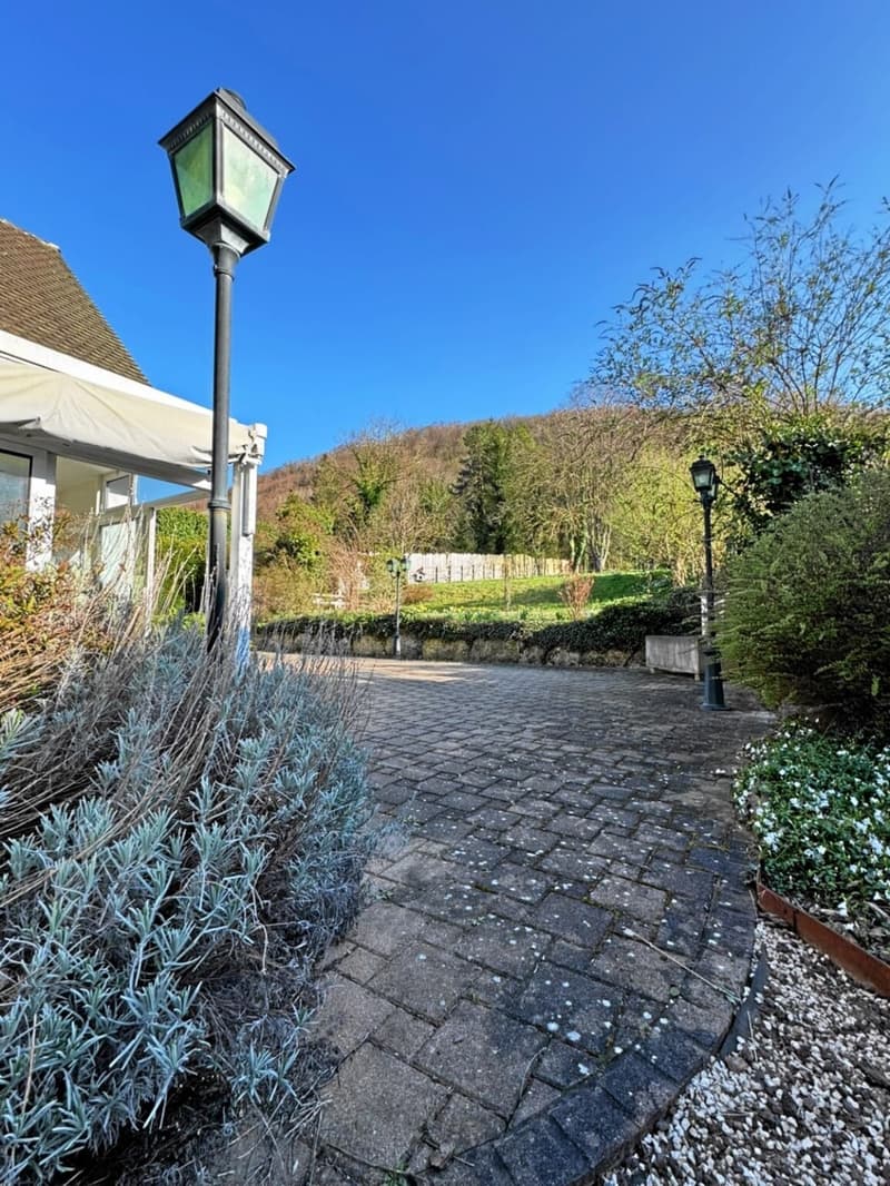 stone path, two lamp posts, green plants, flowers, stone bench, stone fence, greenery, trees, mountains