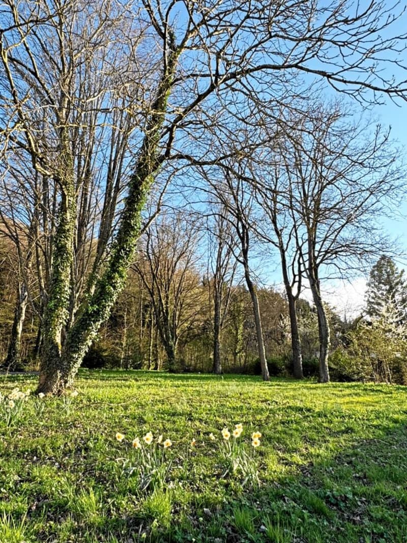 Réf: 11158 **** Leymen / frontière CH-Biel-Benken: Villa env. 220 m² (6)