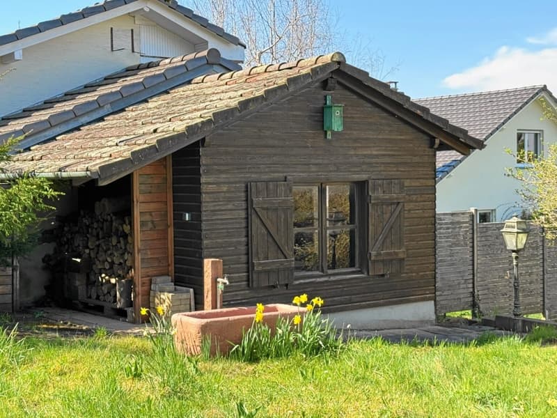 Wooden outbuilding with wooden wall, stone roof, green bird house, a stone basin, a lamp post and some plants