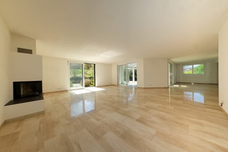 modern room, hardwood floor, fireplace, glass door, large windows