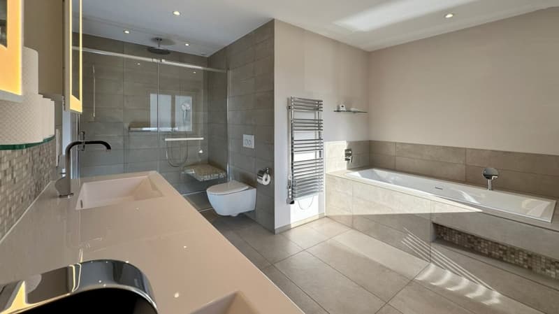 Bathroom with walk-in shower, toilet, vanity, and bathtub