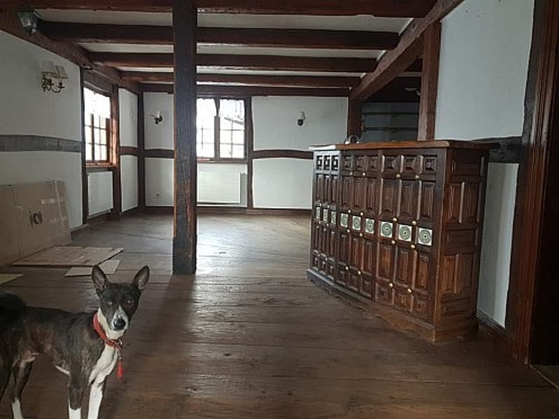 Réf: 11036*** Secteur Leymen / Oltingue: Maison avec restaurant env. 190 m² sur env. 8 ares (5)