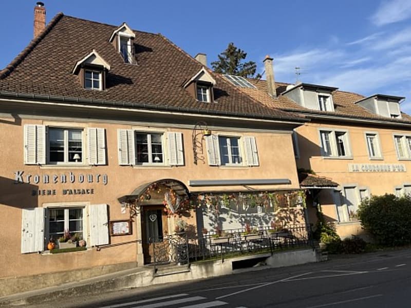 Réf: 11098*** Leymen, à deux pas de Biel Benken/CH Suisse: Charmant ensemble env. 320 m² (6)