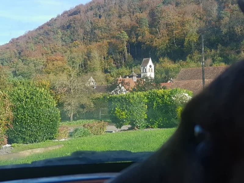 Réf: 11098*** Leymen, à deux pas de Biel Benken/CH Suisse: Charmant ensemble env. 320 m² (2)