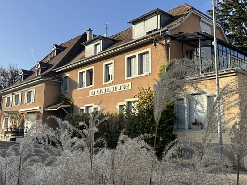 Réf: 11098*** Leymen, à deux pas de Biel Benken/CH Suisse: Charmant ensemble env. 320 m² (1)