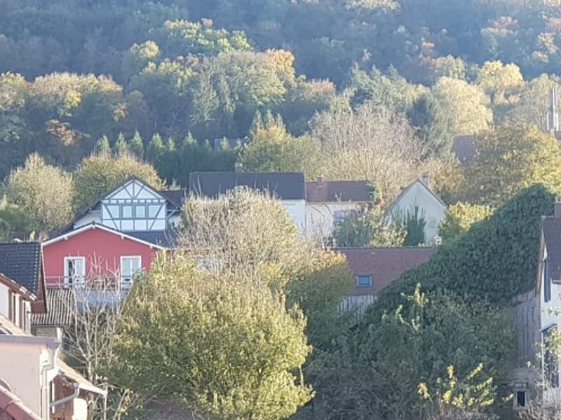 Réf: 11098*** Leymen, à deux pas de Biel Benken/CH Suisse: Charmant ensemble env. 320 m² (7)