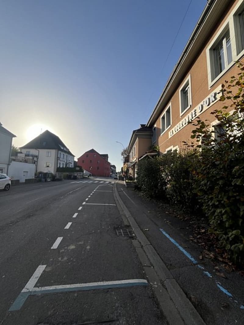 Réf: 11098*** Leymen, à deux pas de Biel Benken/CH Suisse: Charmant ensemble env. 320 m² (22)