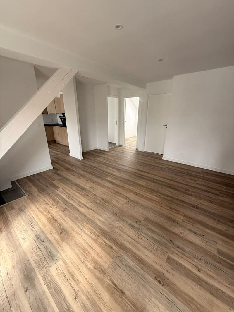 Réf: 11169*** Région Frontalière: bel appartement entièrement rénové env. 65 m² (16)