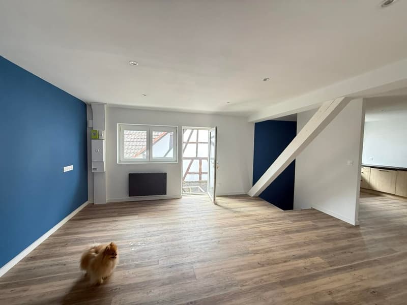 Réf: 11169*** Région Frontalière: bel appartement entièrement rénové env. 65 m² (3)
