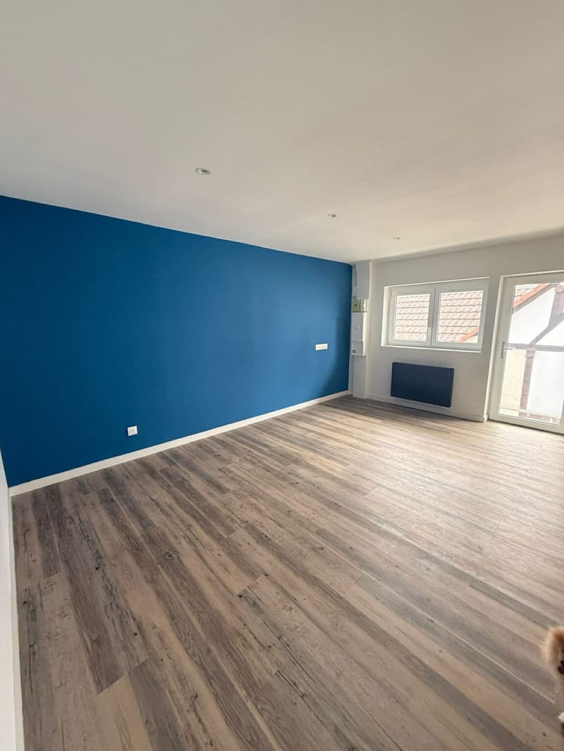 Réf: 11169*** Région Frontalière: bel appartement entièrement rénové env. 65 m² (17)