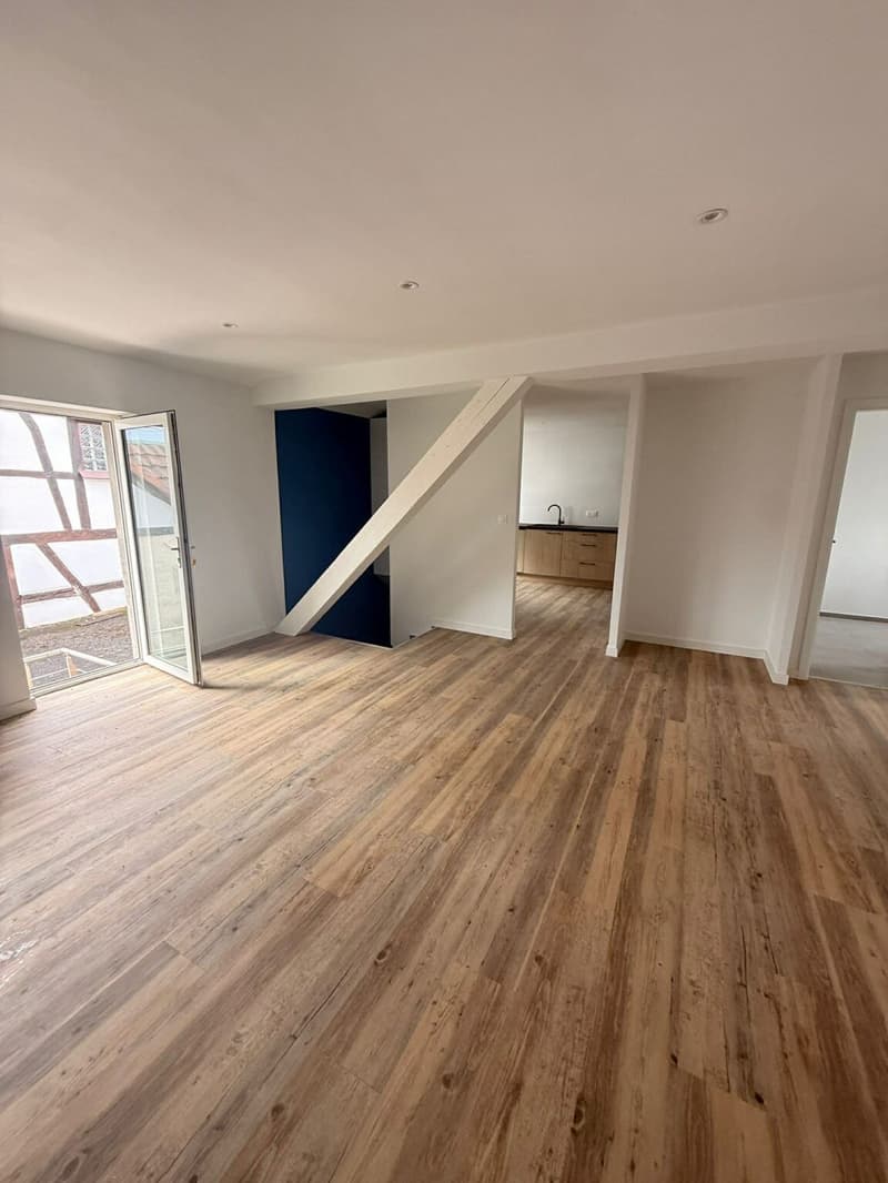 Réf: 11169*** Région Frontalière: bel appartement entièrement rénové env. 65 m² (8)
