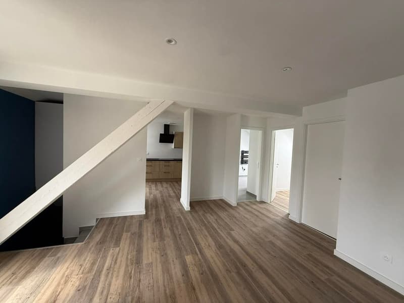 Réf: 11169*** Région Frontalière: bel appartement entièrement rénové env. 65 m² (14)
