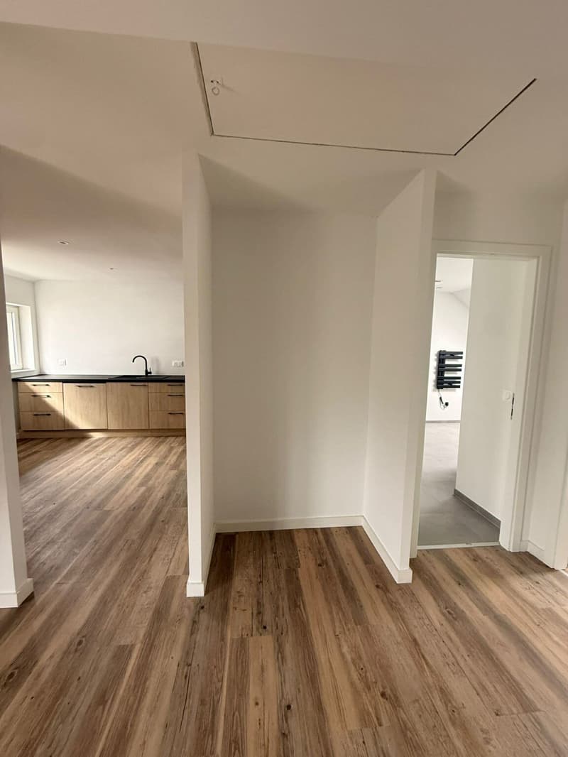 Réf: 11169*** Région Frontalière: bel appartement entièrement rénové env. 65 m² (9)