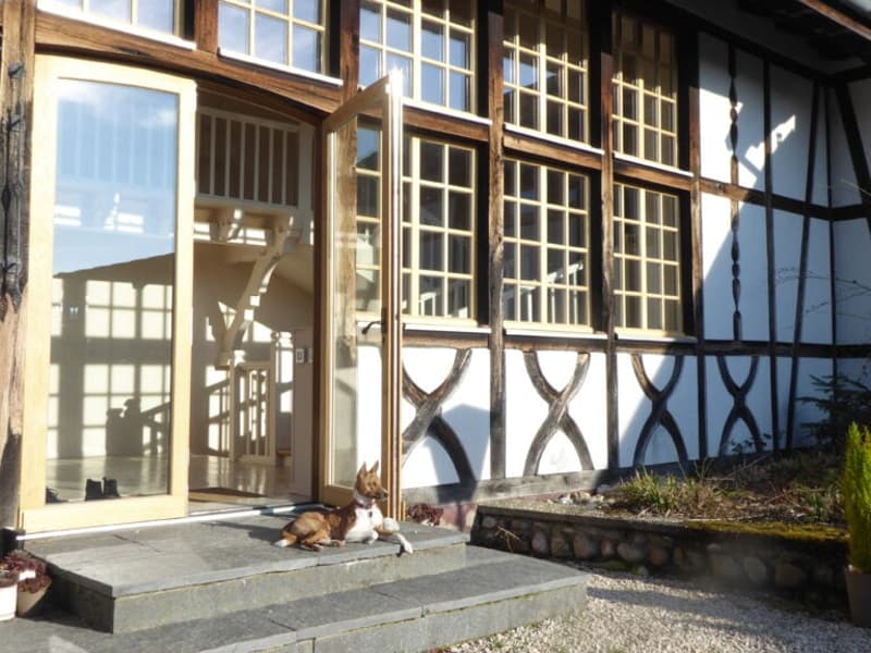 Réf: 11160*** Axe Bâle-Ferrette: Propriété d'exception de 380 m² env. (6)