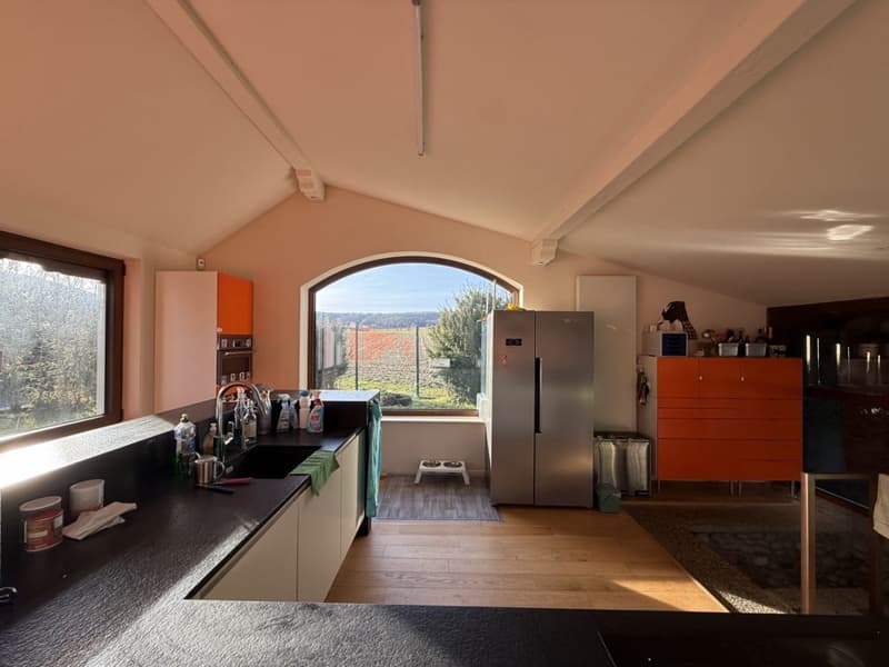 Réf: 11160*** Axe Bâle-Ferrette: Propriété d'exception de 380 m² env. (3)