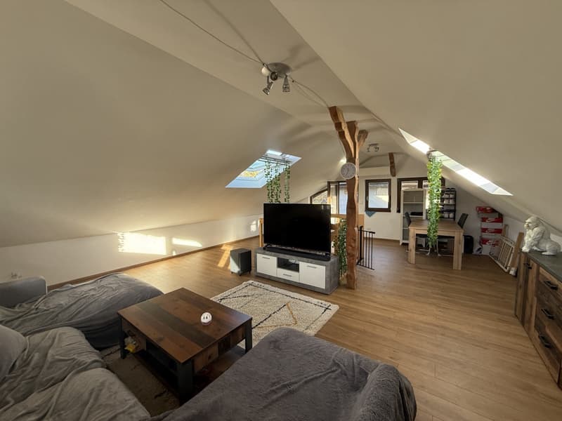 Réf: 11160*** Axe Bâle-Ferrette: Propriété d'exception de 380 m² env. (22)
