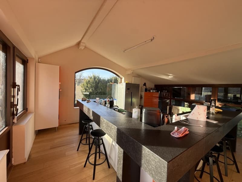 Réf: 11160*** Axe Bâle-Ferrette: Propriété d'exception de 380 m² env. (12)