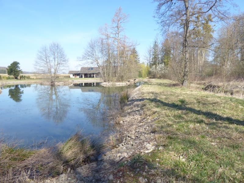Réf: 11160*** Axe Bâle-Ferrette: Propriété d'exception de 380 m² env. (28)