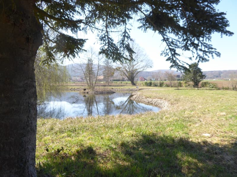 Réf: 11160*** Axe Bâle-Ferrette: Propriété d'exception de 380 m² env. (16)