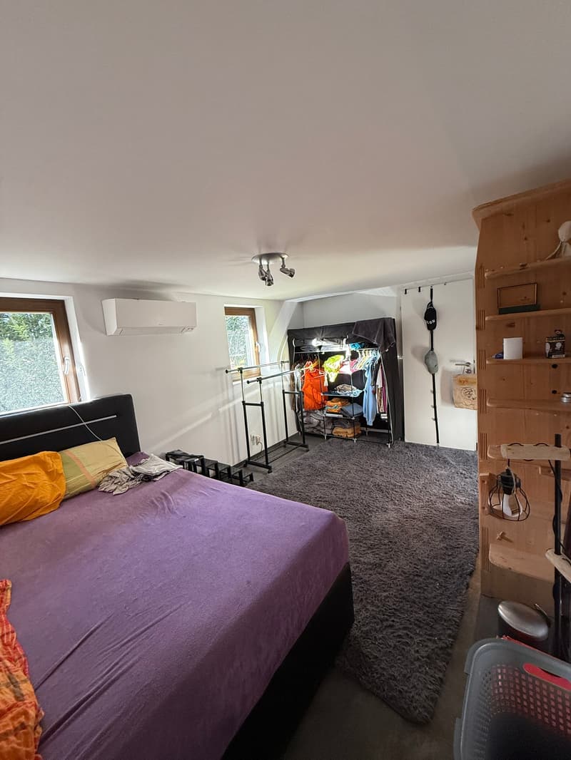 Réf: 11160*** Axe Bâle-Ferrette: Propriété d'exception de 380 m² env. (25)