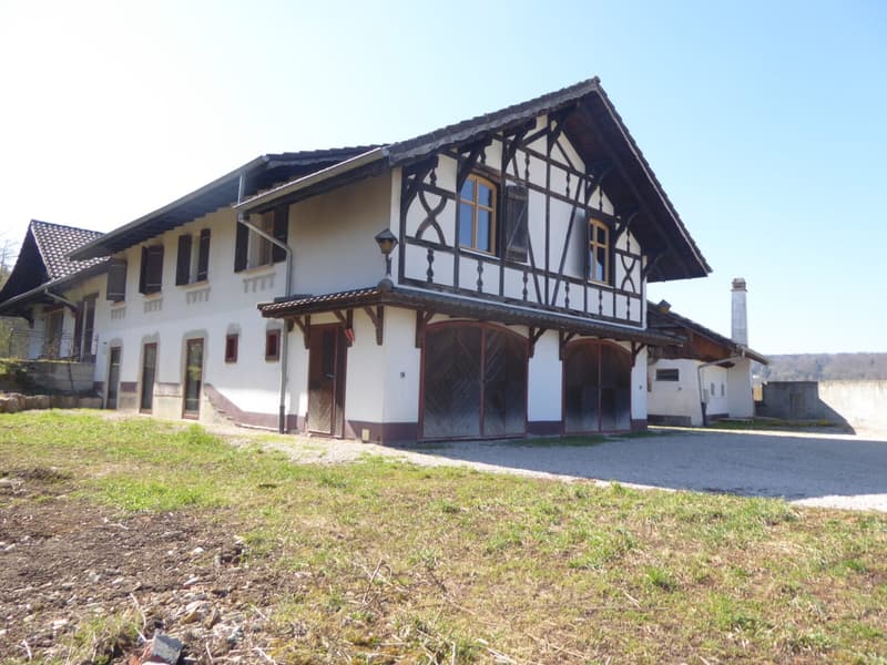 Réf: 11160*** Axe Bâle-Ferrette: Propriété d'exception de 380 m² env. (29)