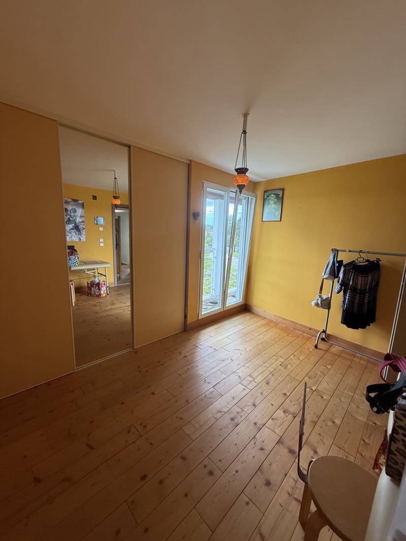 Wooden floor, large window, mirror, sliding door, clothing rack, lamp