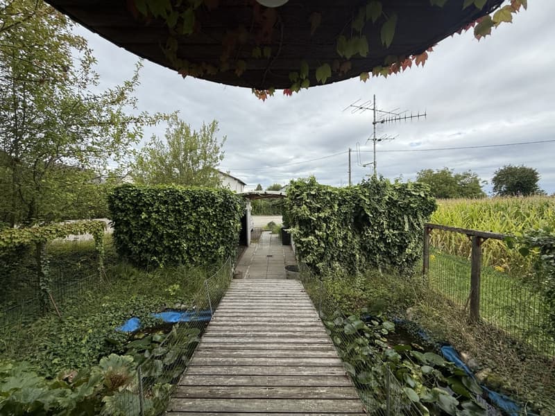 wooden pathway leading to the house, surrounded by green plants and trees, open to the sky, covered walkway