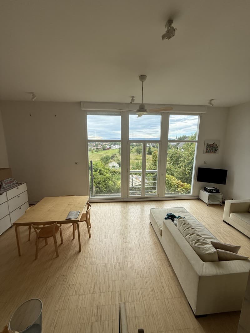 large windows, wooden floor, beige couch, wooden table with chairs, flat screen TV, balcony, landscape view