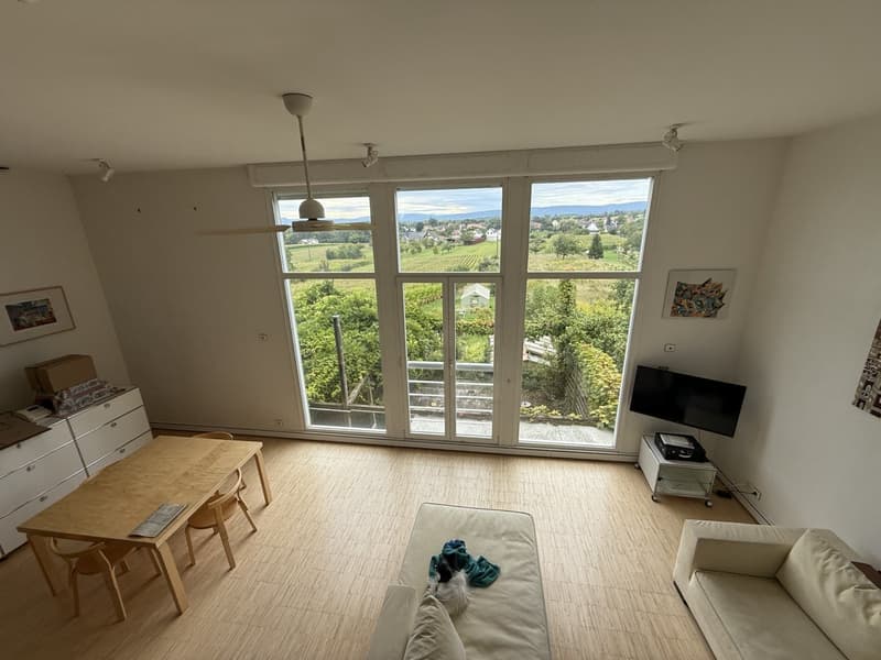 open plan living room with dining area, large windows, balcony, hardwood floor, living sofa, dining table, TV